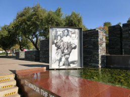 3 Days Tour Packages In Johannesburg With Pilannesburg National Game Reserve