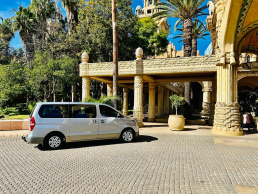 Full Day Pilanesburg Safari And Sun City Experience